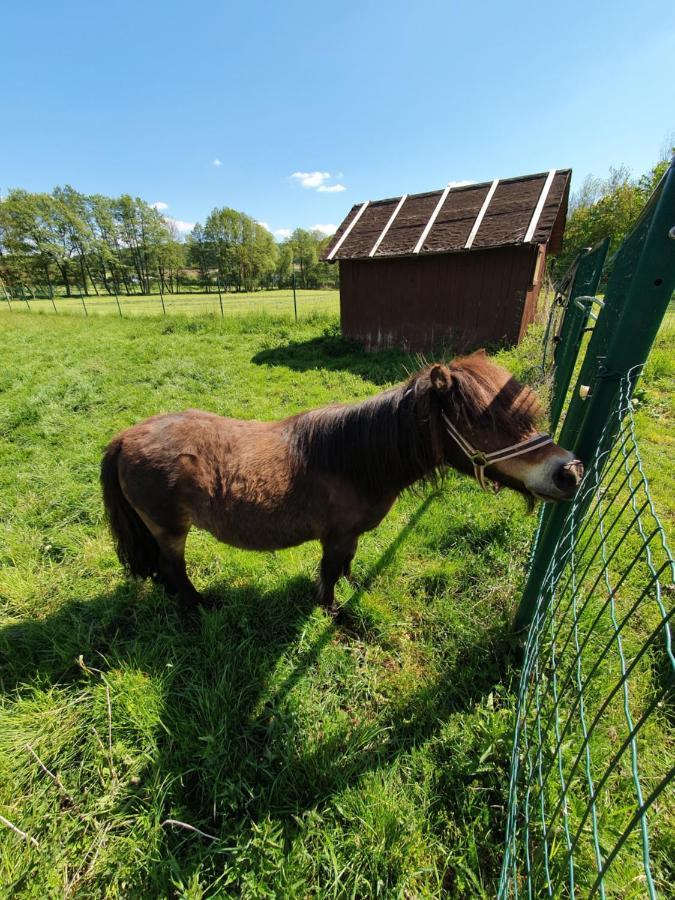 Garni Hotel Biebertal Am Milseburgradweg Hofbieber Kültér fotó